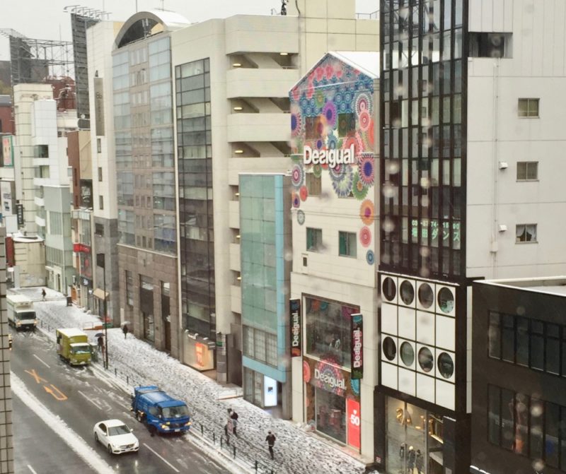 Tokyo sous la neige, vie à Tokyo, visiter tokyo