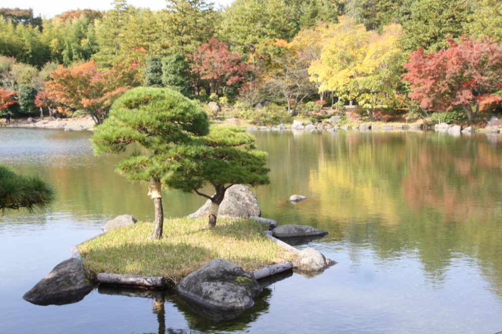 Le jardin japonais du parc Showa Kinen , Visiter Tokyo et le Japon, expatriation à tokyo