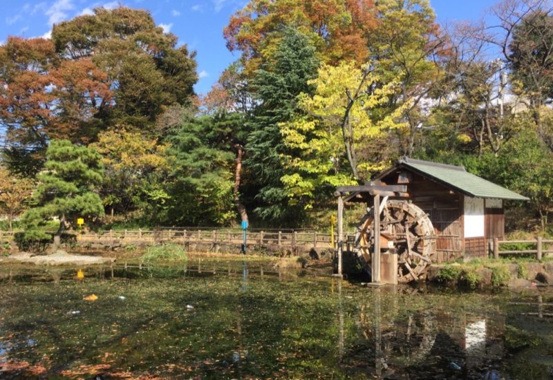 Le parc Nabashimashoto, Shibuya, Visiter Tokyo et le Japon