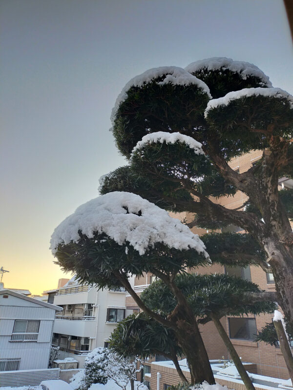 neige à Tokyo le matin du 7 janvier 2022