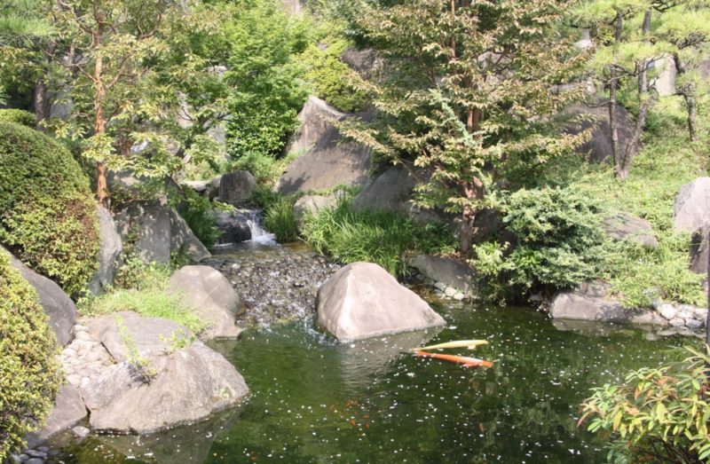 Le jardin de l'époque Edo Mejiro Teien, Vivre à Tokyo