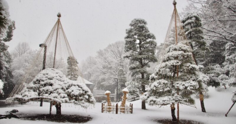 Le parc Yoyogi sous la neige, les arbres avec les supports d'hiver, l'hiver à Tokyo
