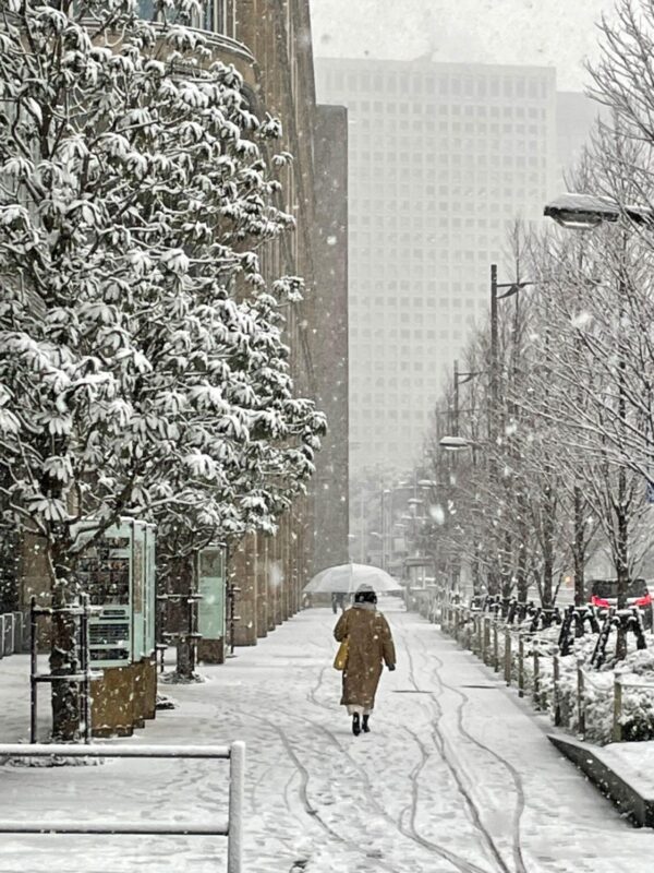 neige à Tokyo le 6 janvier 2022