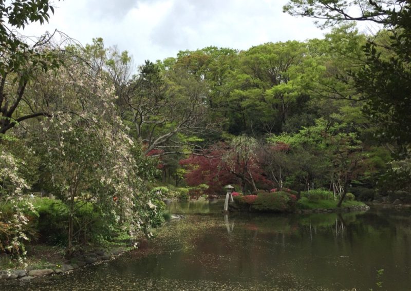 Le parc Arisugawa à Hiroo, expatriation à Tokyo, vivre à tokyo