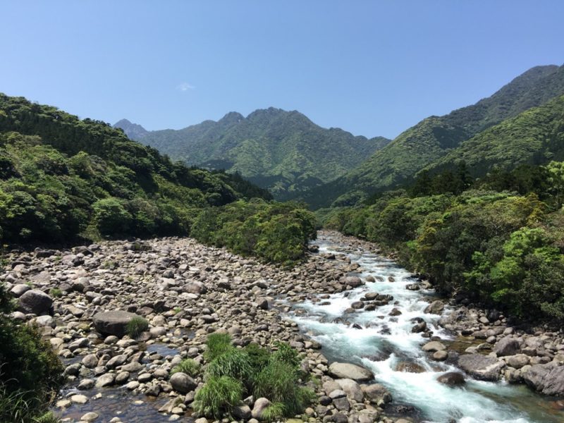 En montagne à Yakushima, visiter le Japon, expatriation à tokyo, excursion de tokyo 