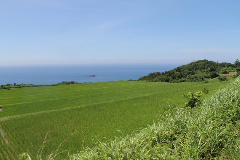 sado ga shima, île de sado, sado island, vivre a tokyo, visiter le japon, expatriation japon, découvrir le japon