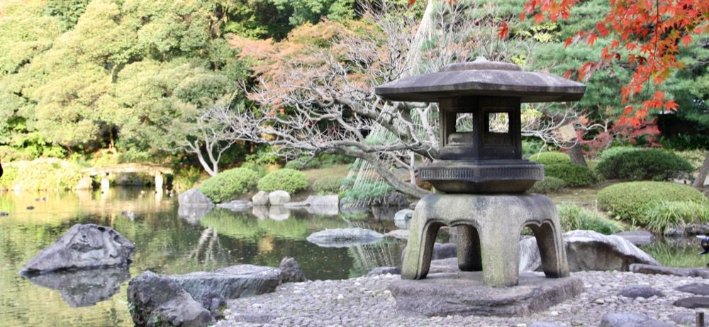 Jardin japonais, jardin zen : nos conseils pratiques pour bien le
