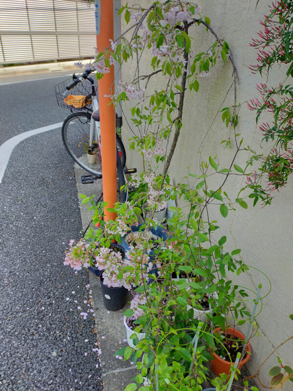 Vélo déposé au coin de la rue devant une maison à Tokyo
