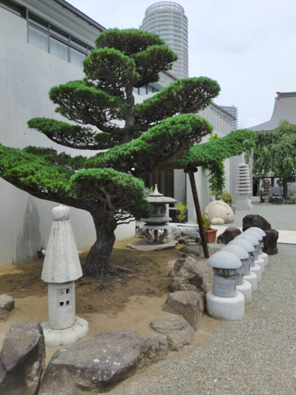 pin et statues du temple Entsuji, Sumida