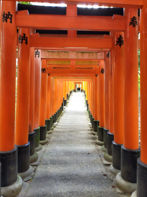 les torii du Fushimi Inari Taisha, Kyoto