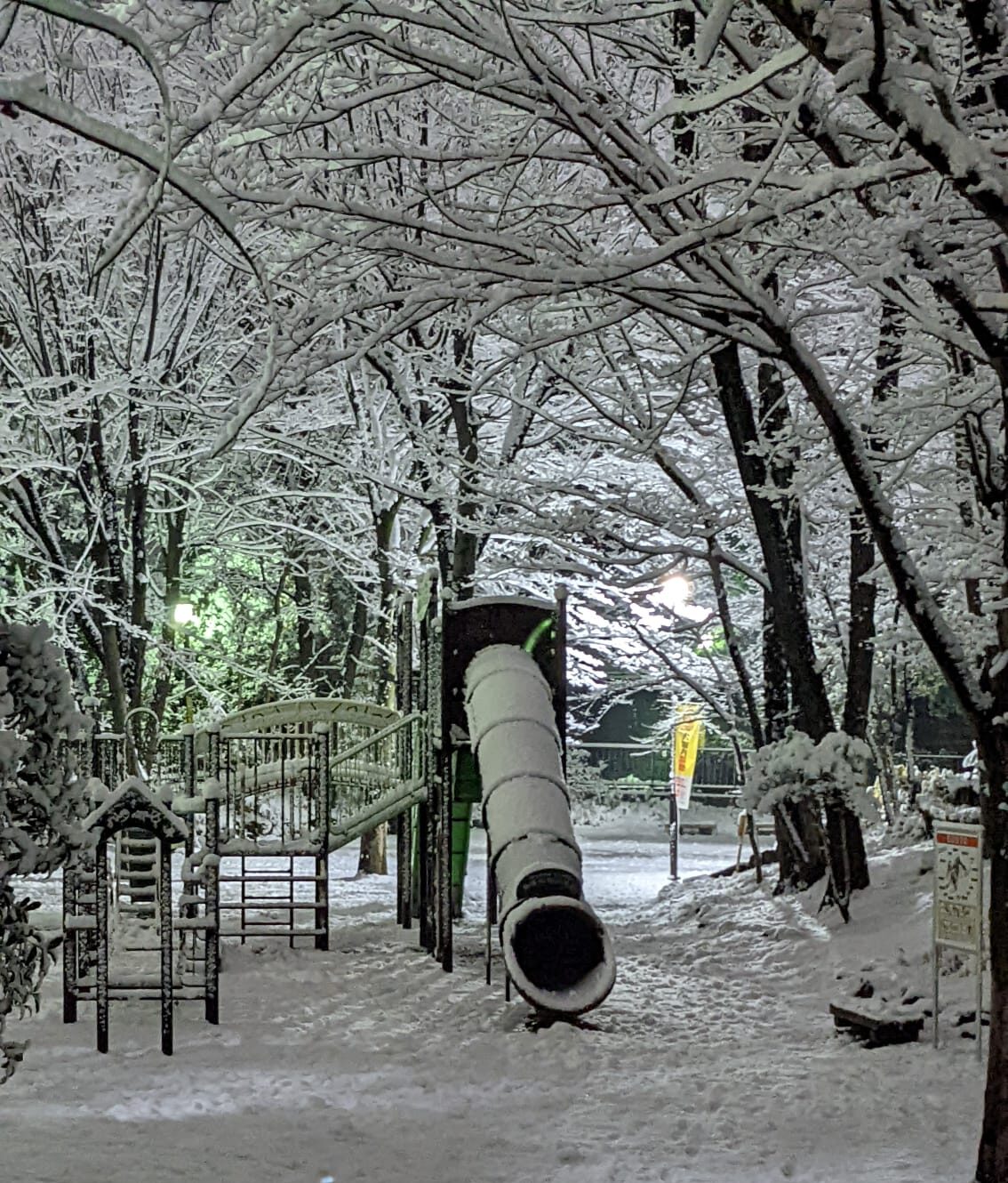 Tokyo sous la neige, vivre a tokyo