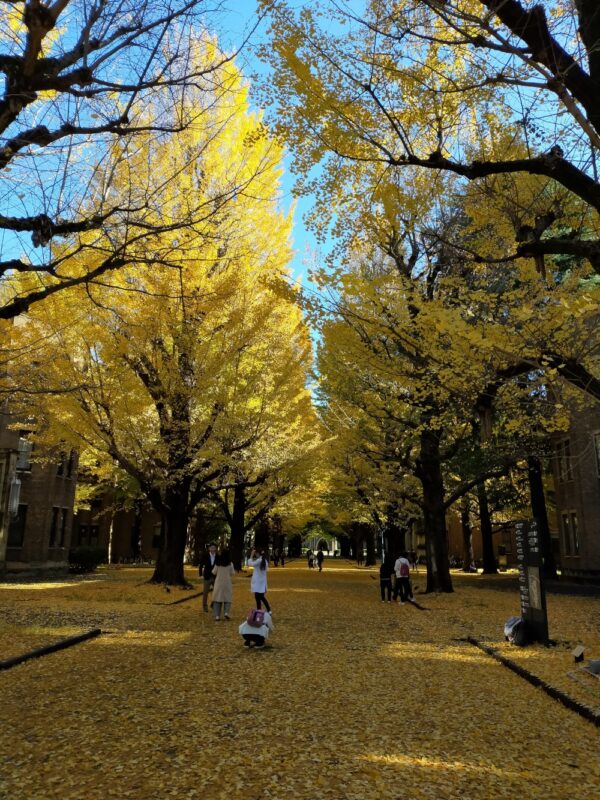 Université de Tokyo