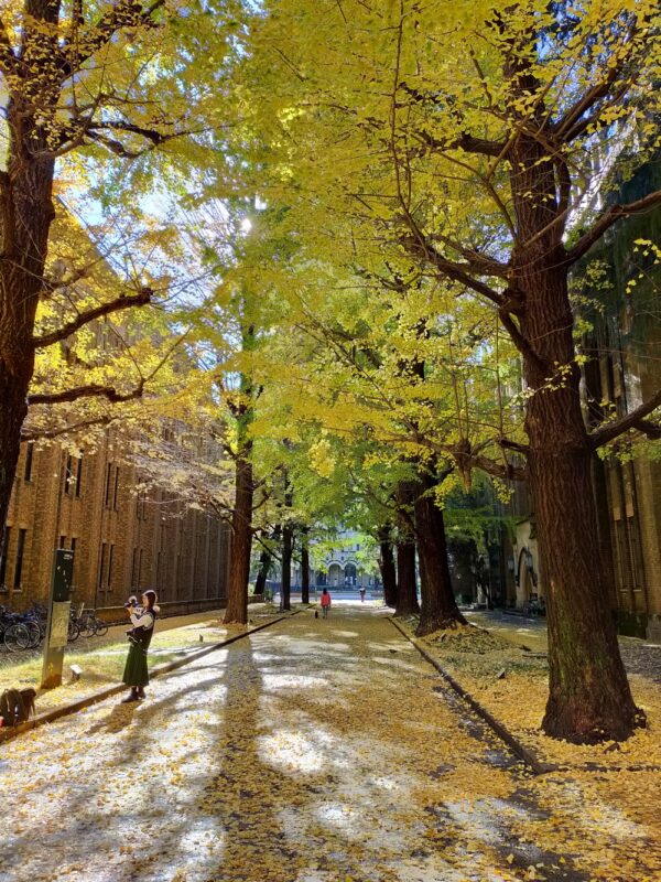 Université de Tokyo