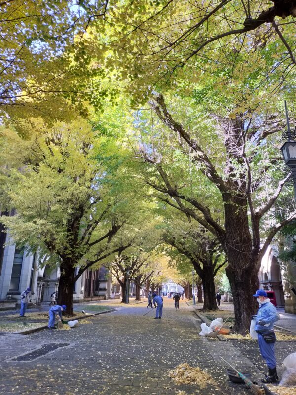 Université de Tokyo