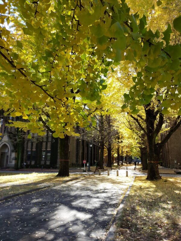 Université de Tokyo