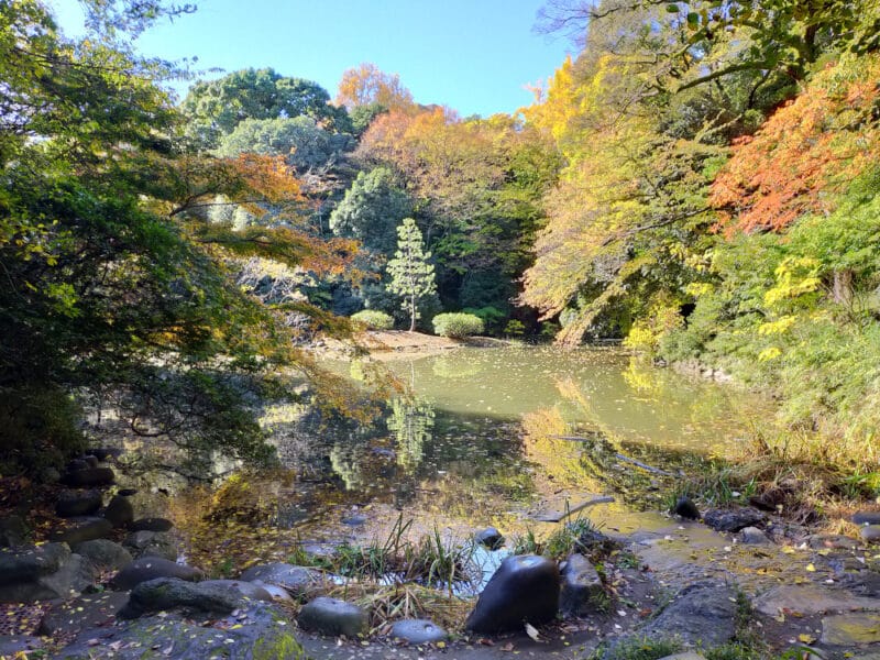 Université de Tokyo