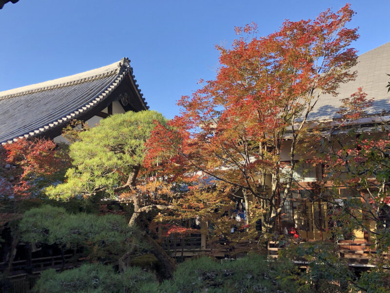 Le temple Eikando, Kyoto 21 novembre 2020