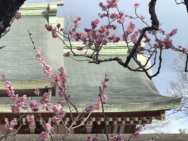 Le sanctuaire Kitanotenmangu à Kyoto 