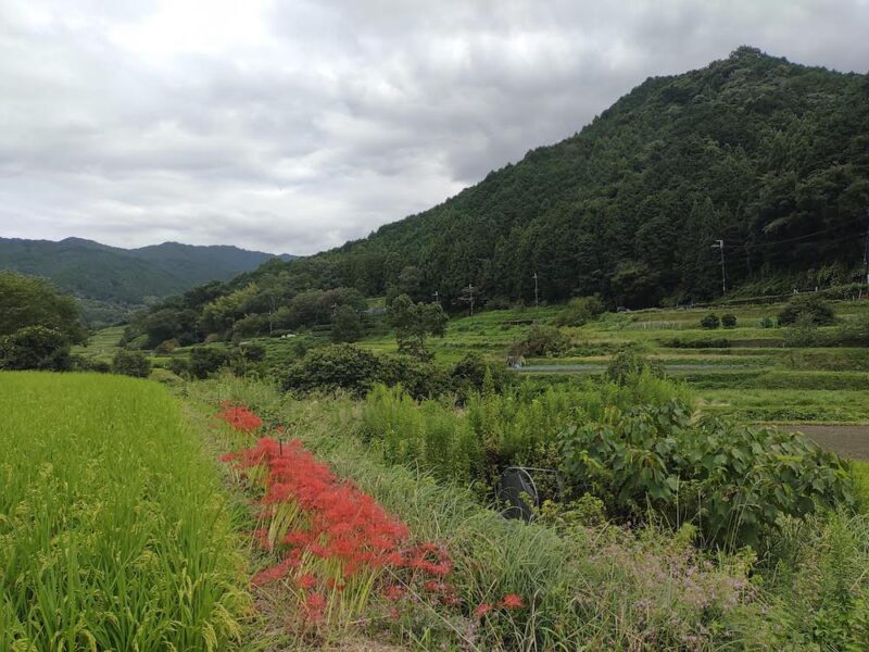Excursion autour de Nara, Asuka