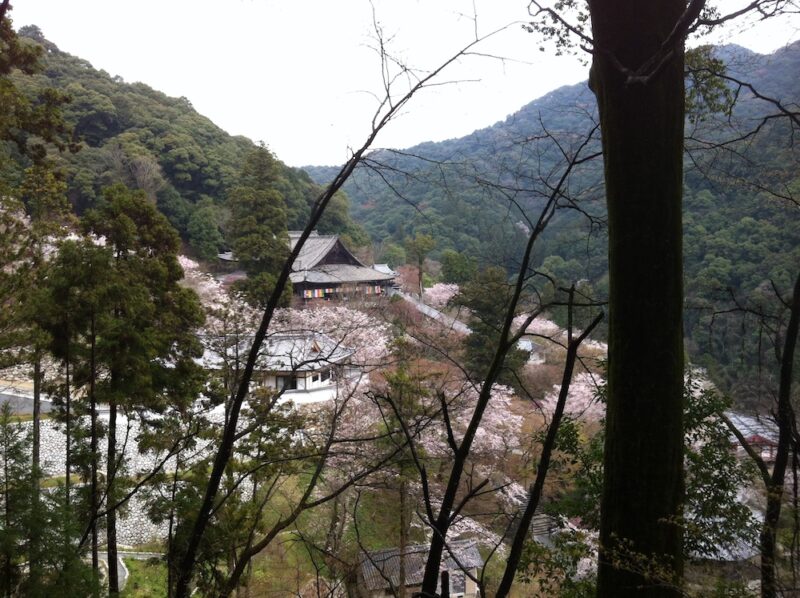 Le temple d'Hasedera, Nara