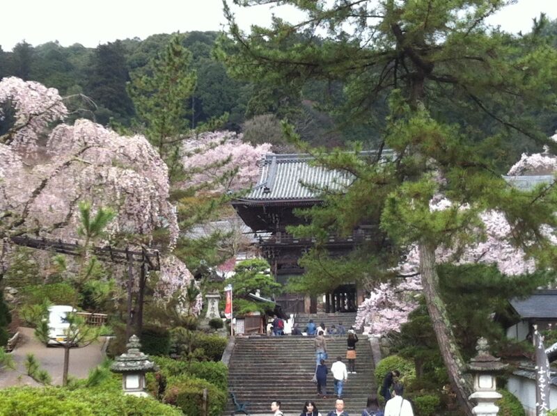 Excursion autour de Nara, Yoshinoyama
