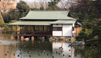 Le jardin de Kiyosumi à Tokyo, vivre à tokyo, visiter tokyo