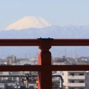 La vue du Mont Fuji, Visiter Tokyo