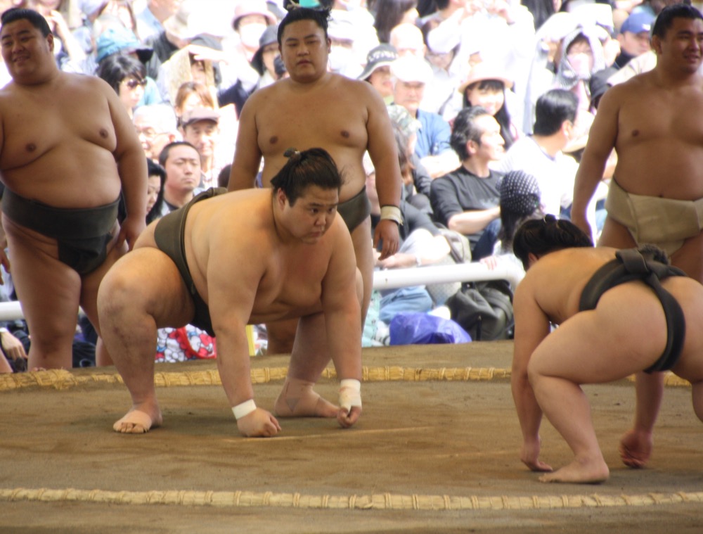 Démarrage du combat du tournoi au Yasukuni Jinja à Tokyo en avril 2017