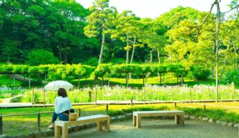koishikawa-korakuen-tokyo-jardin-des-iris-by-yoshikazu-takada