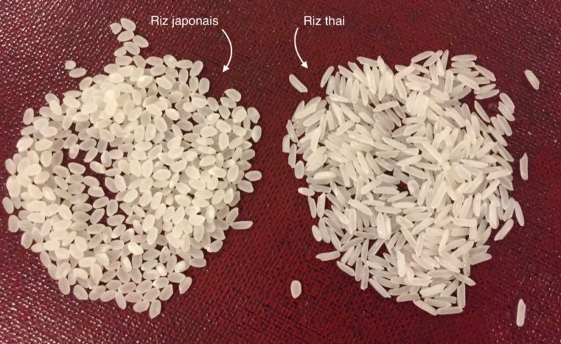Le riz japonais est rond
