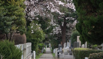 Le cimetière du quartier d'Aoyama à Tokyo
