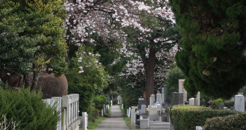 Le cimetière du quartier d'Aoyama à Tokyo