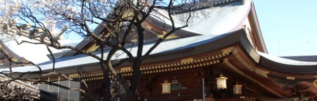 pruniers tokyo sanctuaire yushima tenjin okachimachi ueno tokyo visiter tokyo visiter japon