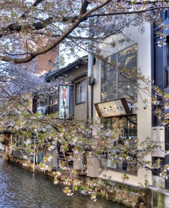 Kiyamachi dori Kyoto, restaurants Kyoto, visiter Kyoto, visiter le japon, se loger à Kyoto