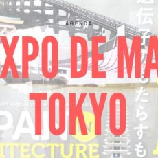 Une sélection d'exposition au mois de mai à Tokyo, vivre à tokyo, visiter tokyo, expatriation à tokyo