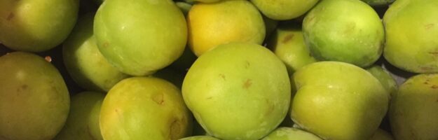 Juin : la saison des Ume ou prunes, vivre à tokyo, expatriation à tokyo, cuisiner au japon