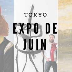 exposition tokyo, exhibition tokyo, musée tokyo, expatriation tokyo, visiter tokyo, vivre à tokyo
