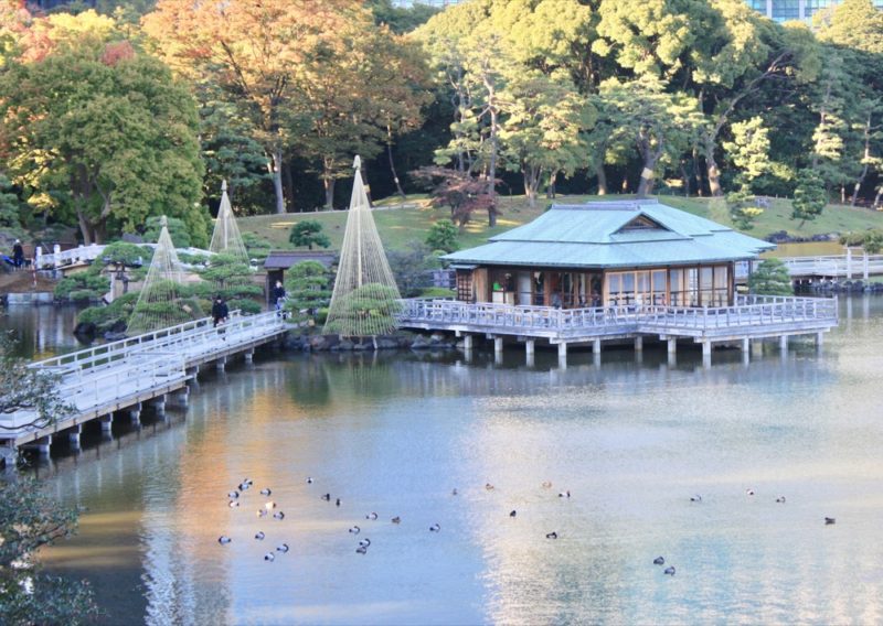 Les ponts du jardin Hamarikyu à Tokyo, visiter tokyo, vivre à tokyo, expatriation à tokyo