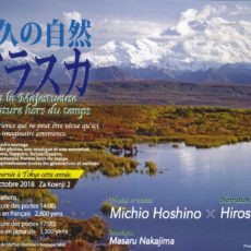 alaska, spectacle culturel tokyo, michio hoshino, photographie, vivre a tokyo, agenda vivre a tokyo, français a tokyo, vivre a tokyo