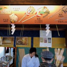 prier pour le nouvel an au meiji jingu, visiter tokyo, vivre à tokyo, français à tokyo