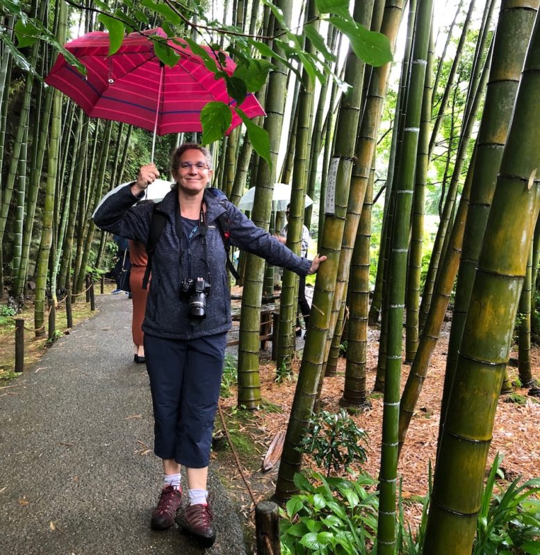 visite guidee des jardins, vivre à tokyo, expatriation à tokyo, visite guidée, jardins