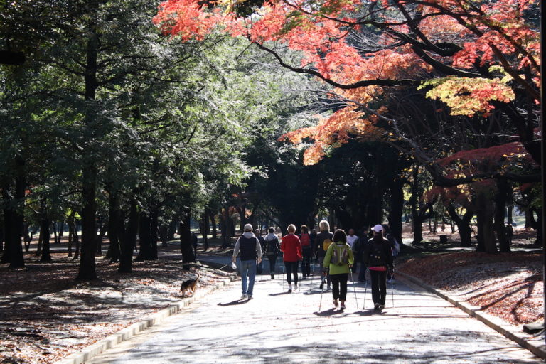 tokyo-automne-yoyogi tokyo-automne-yoyogi