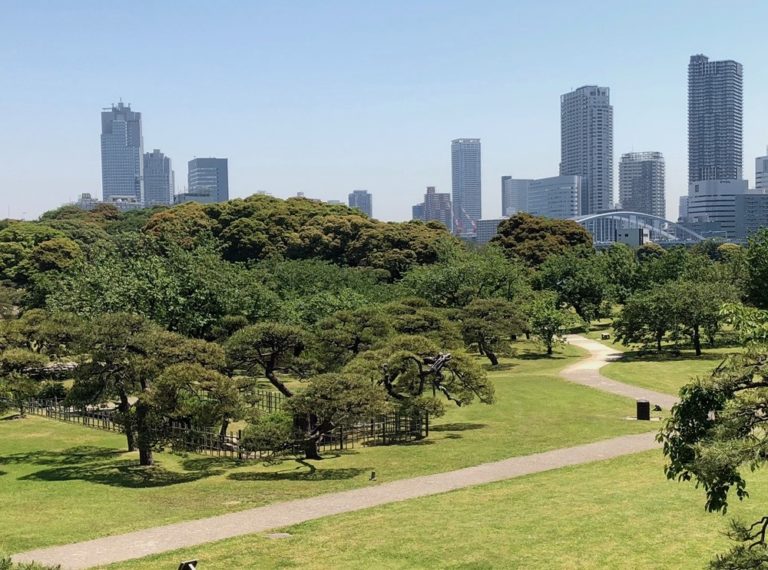 tokyo-hamarikyu-printemps