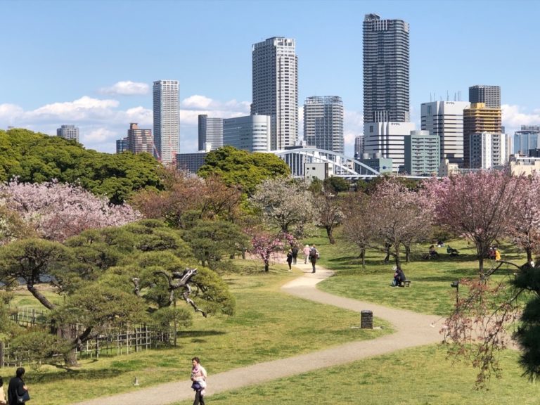 tokyo-hamarikyu-printemps-avril
