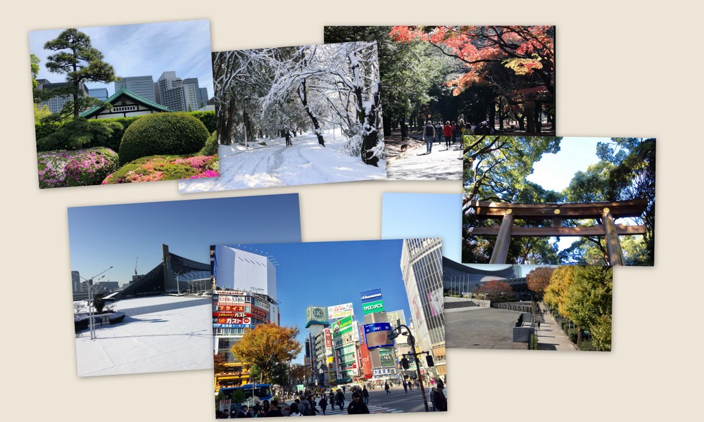 visiter tokyo au fil des saisons, vivre a tokyo, visiter tokyo, expatriation a tokyo