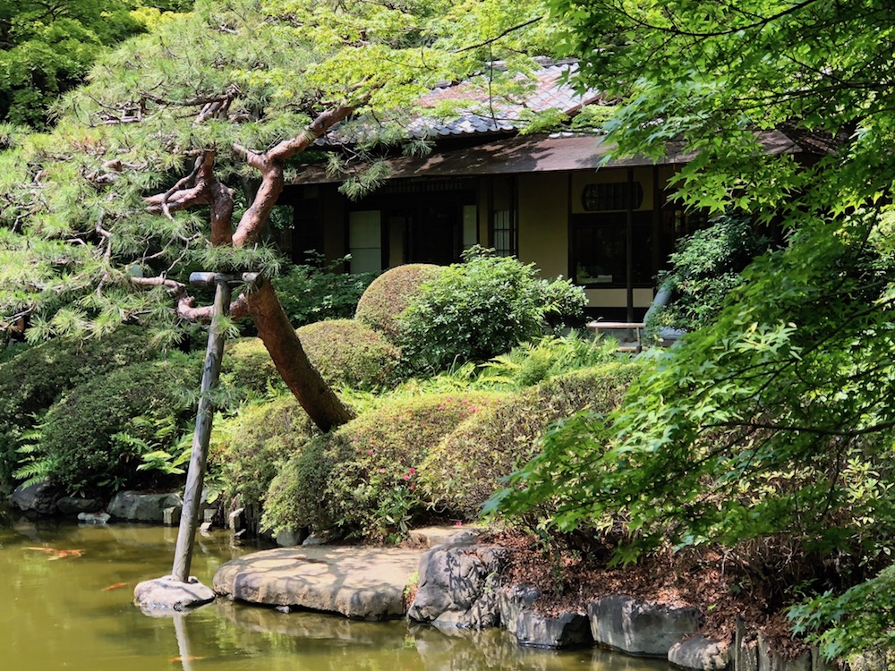 jardin japonais de musée d'art métropolitain teien à tokyo, vivre a tokyo, visiter tokyo, musee a tokyo