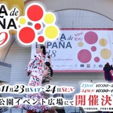 fiesta de esapaña 2019, yoyogi park, vivre a tokyo, tokyo expatriation, japon expatriation