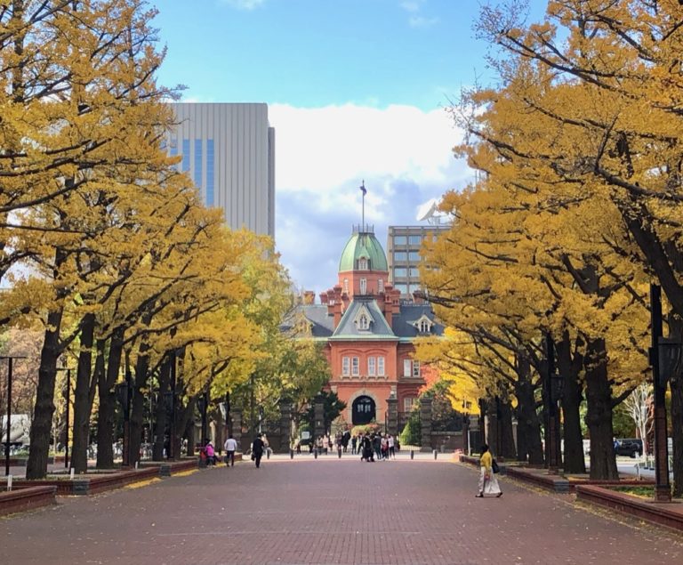 sapporo-1 sapporo-1