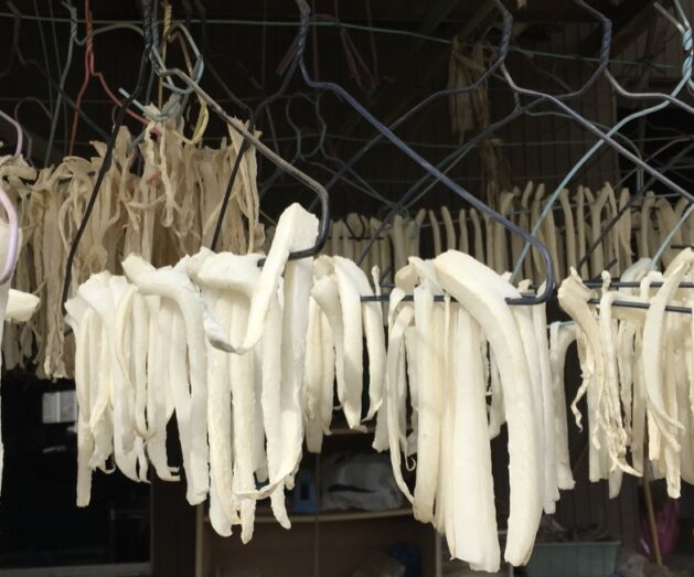 vie a tokyo, vivre a tokyo, légumes de saison, les saisons à tokyo