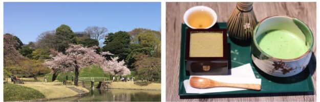 mini guide, sakura a tokyo, visiter tokyo